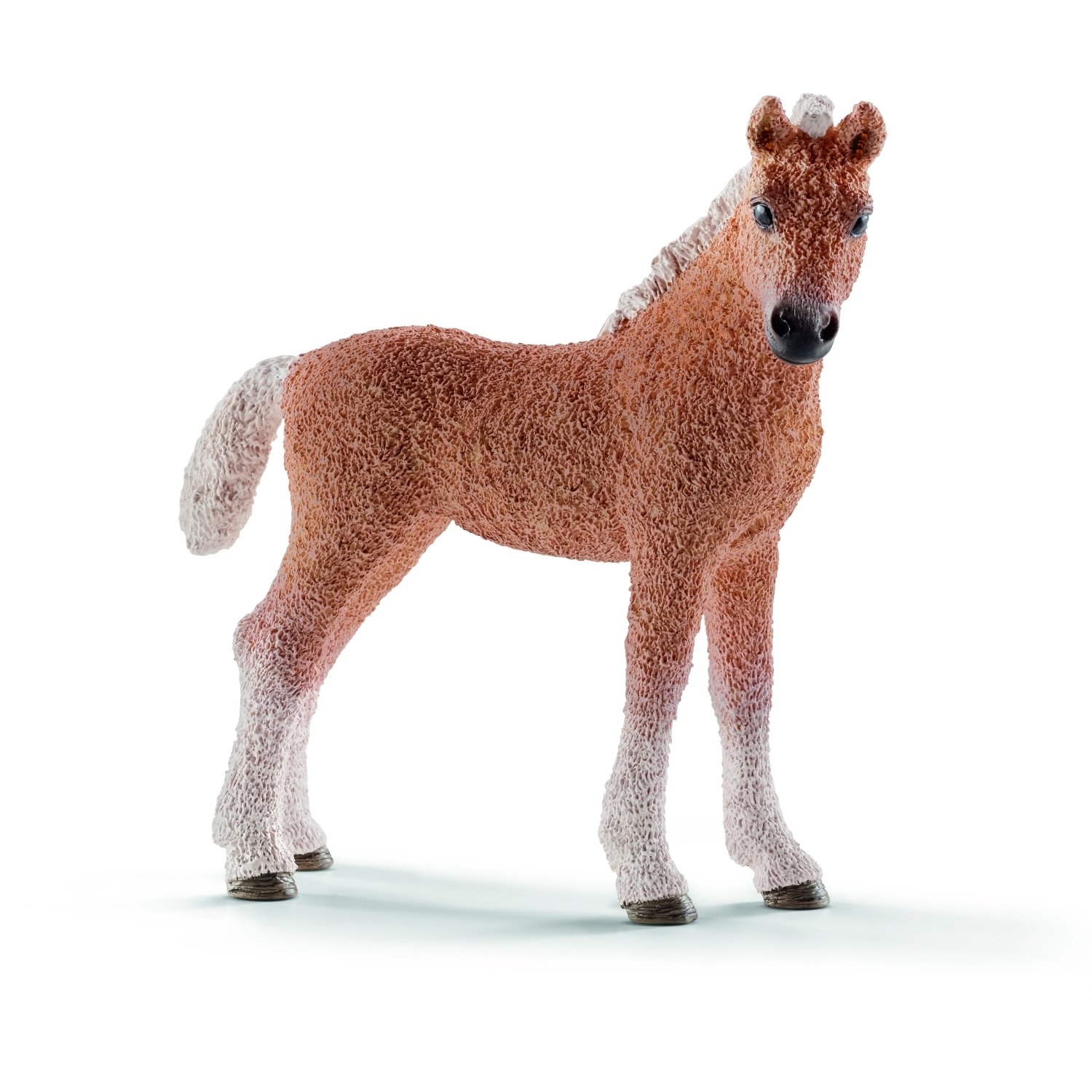 Schleich Bashkir Curly Foal