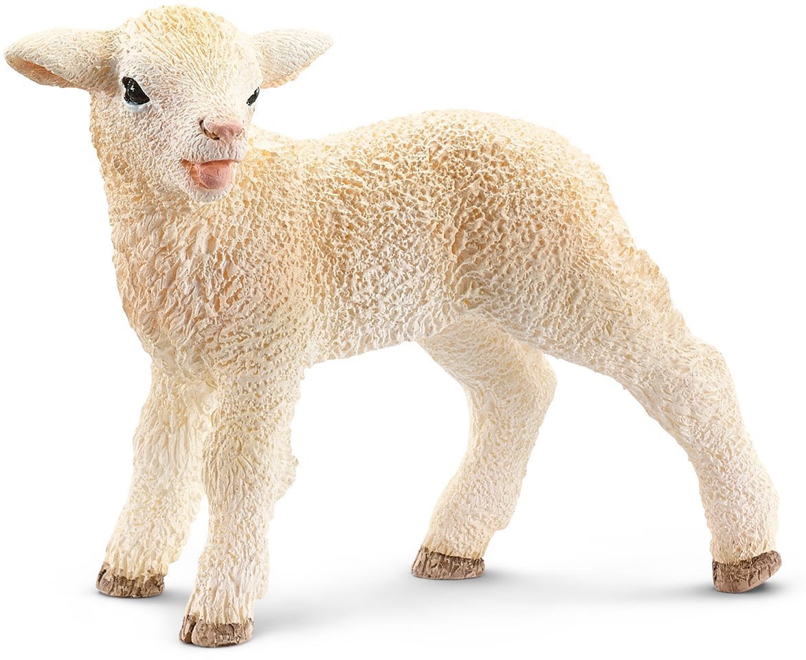 Schleich Lamb