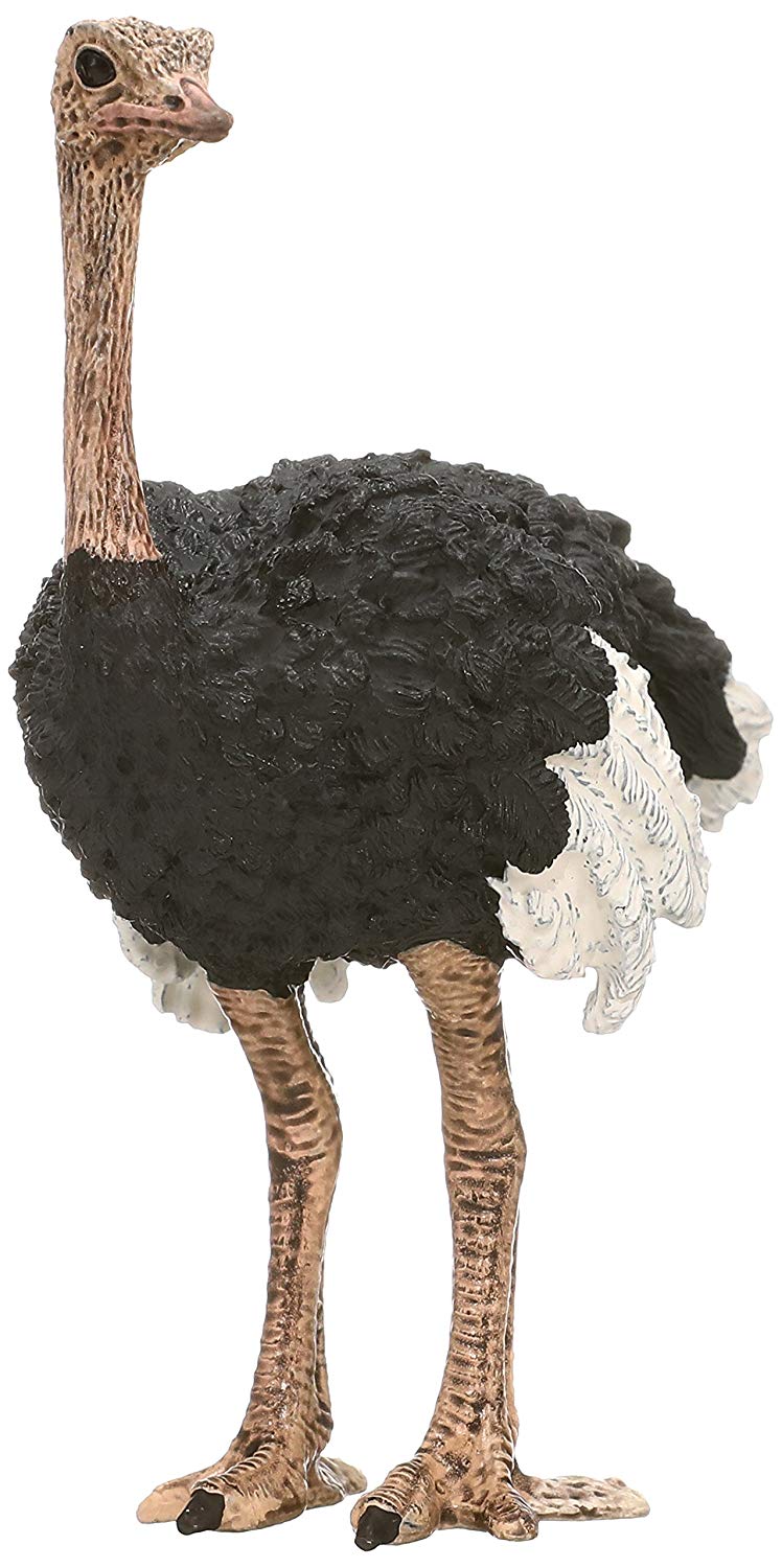 Schleich Ostrich