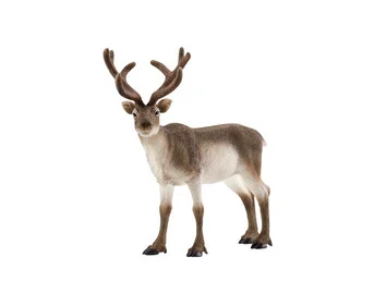 Schleich® Reindeer
