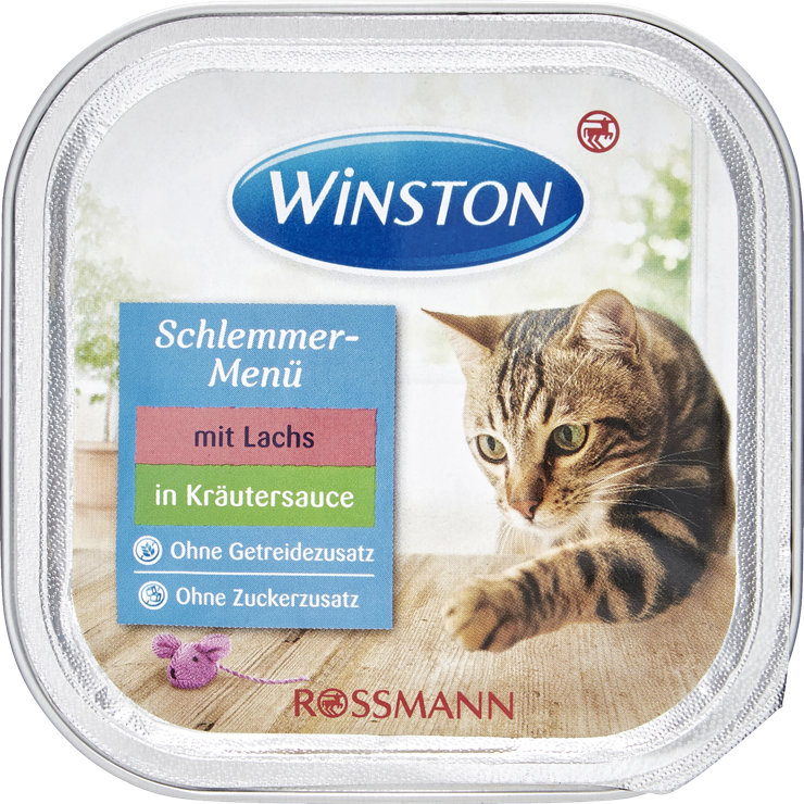 Winston Gourmet menu with salmon and herb sauce