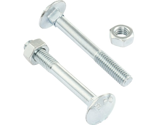Carriage screw with nut Reyher DIN 603 M6x100 mm galvanized 50 pieces