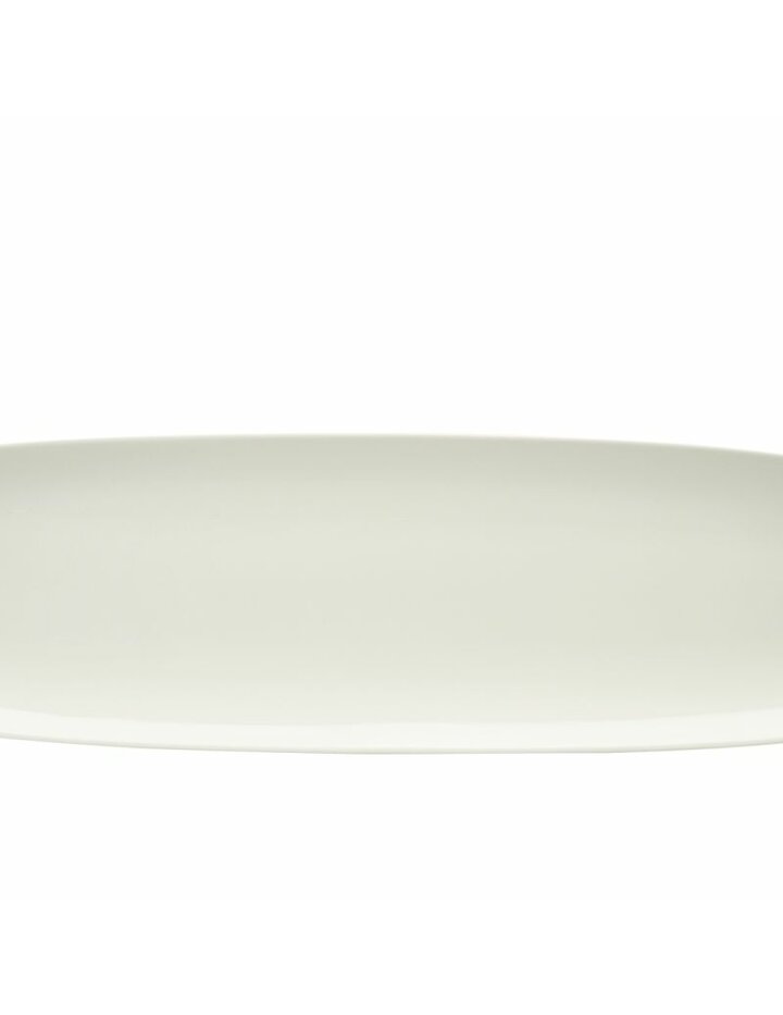 Schoenwald Beautiful Forest In Iceland Noble China Plate Coup Length 50 Cm 501X144 Mm