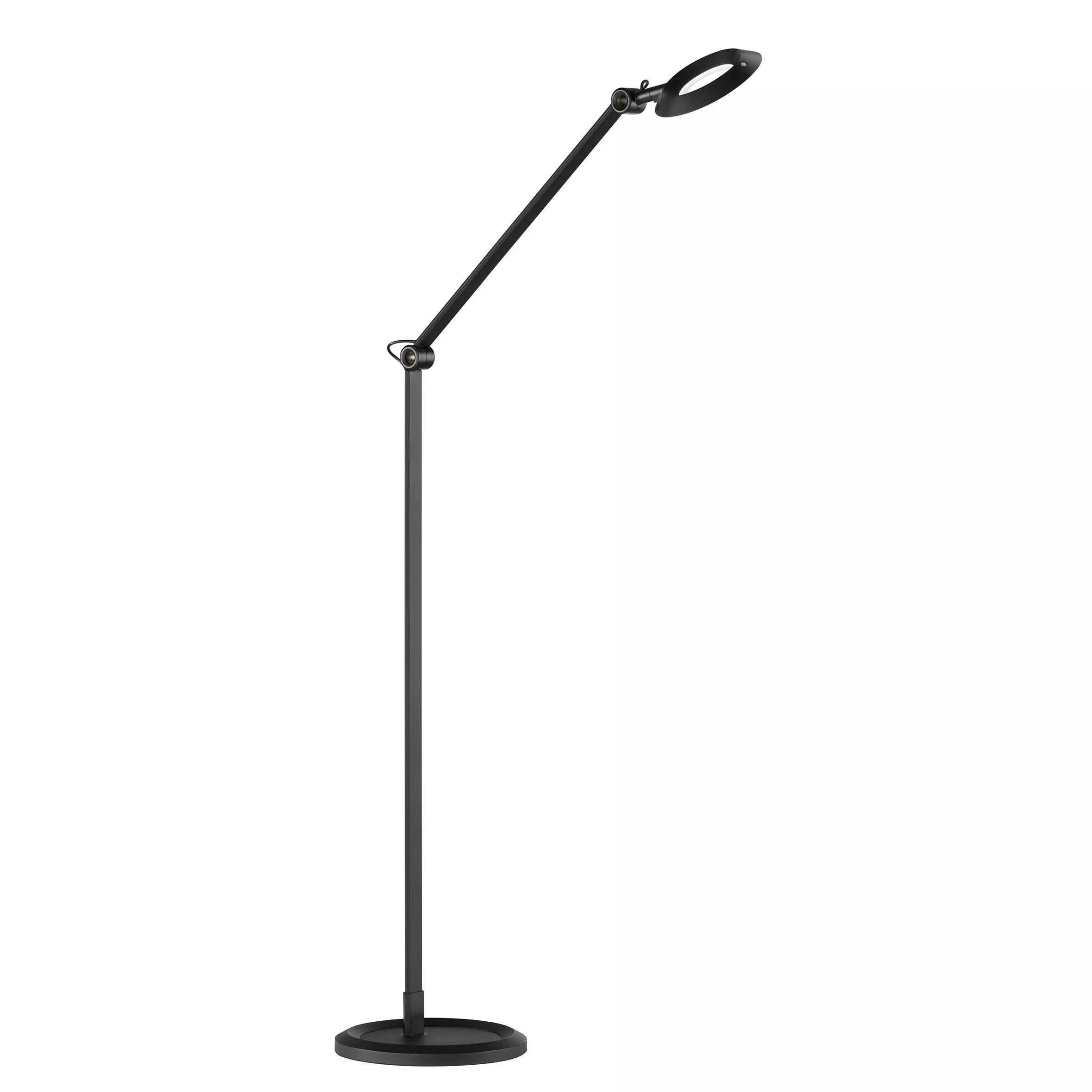 Schöner Wohnen LED floor lamp 23/128 cm