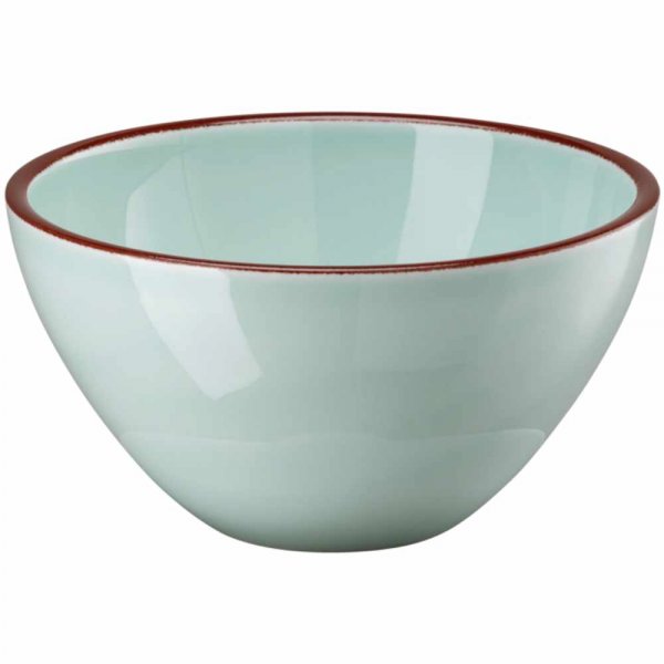 Rosenthal Professional Casual Bowl