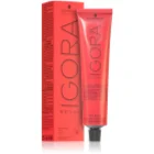 Schwarzkopf Professional IGORA Royal shade 6-23 Dark Blonde 60 ml