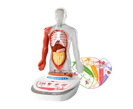 Science Can My Body – a journey of knowledge with quiz and sound
