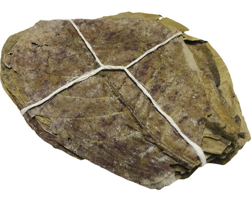 Catappa-Leaves Sea almond tree leaves Catappa leaves Catappa leaves 10-15 cm 30 pieces