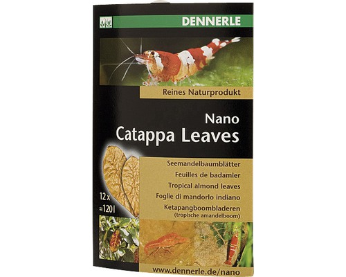 Sea almond tree leaves DENNERLE Nano Catappa Leaves 12 pieces