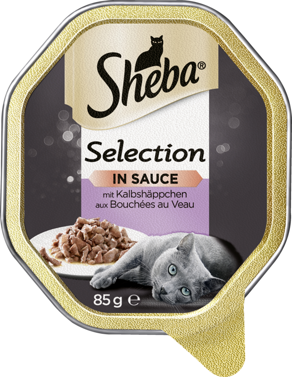Sheba Selection of veal dumplings in sauce