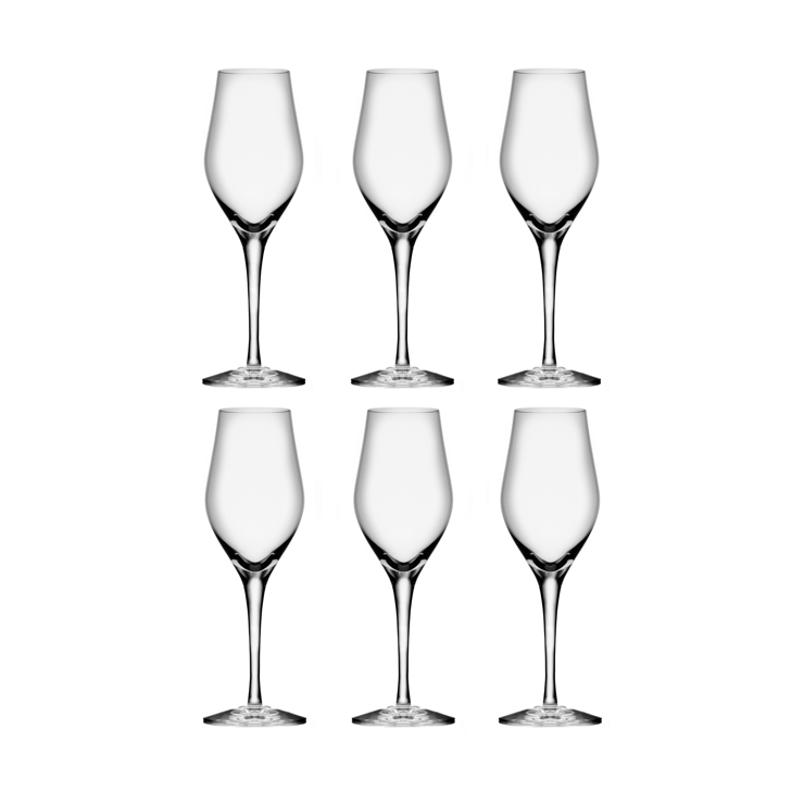 Orrefors Sense champagne glass 25.5 cl 6er pack