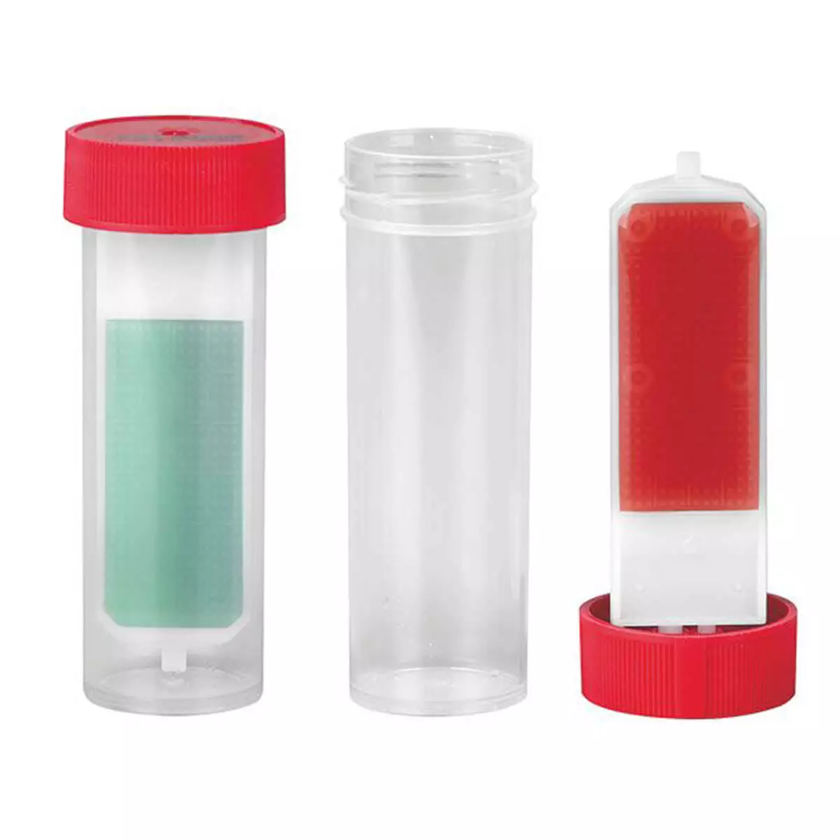 servoprax Servocult Immersion Agars, 10 pieces, CELD and  MacConkey agar