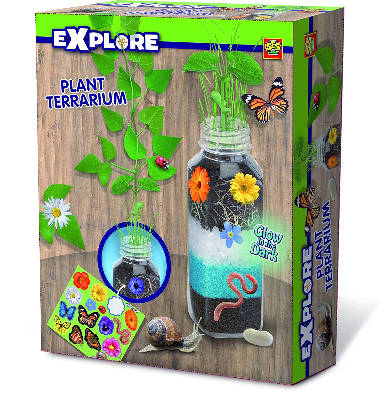 SES Creative Terrarium During Game