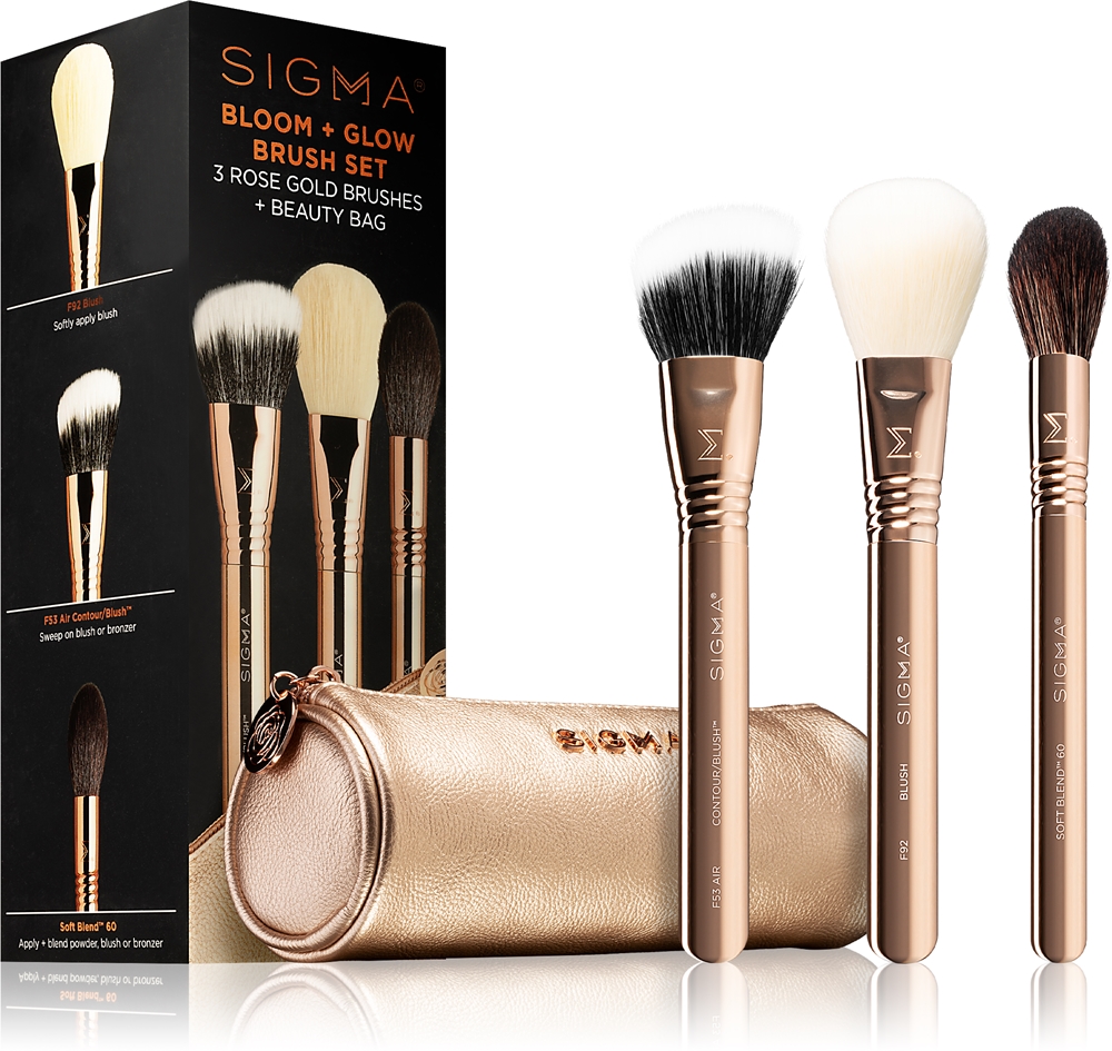 Sigma Beauty Brush Set Bloom + Glow brush set with case