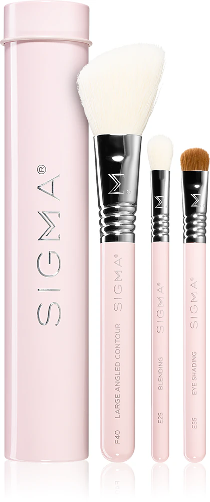 Sigma Beauty Essential brush set with case
