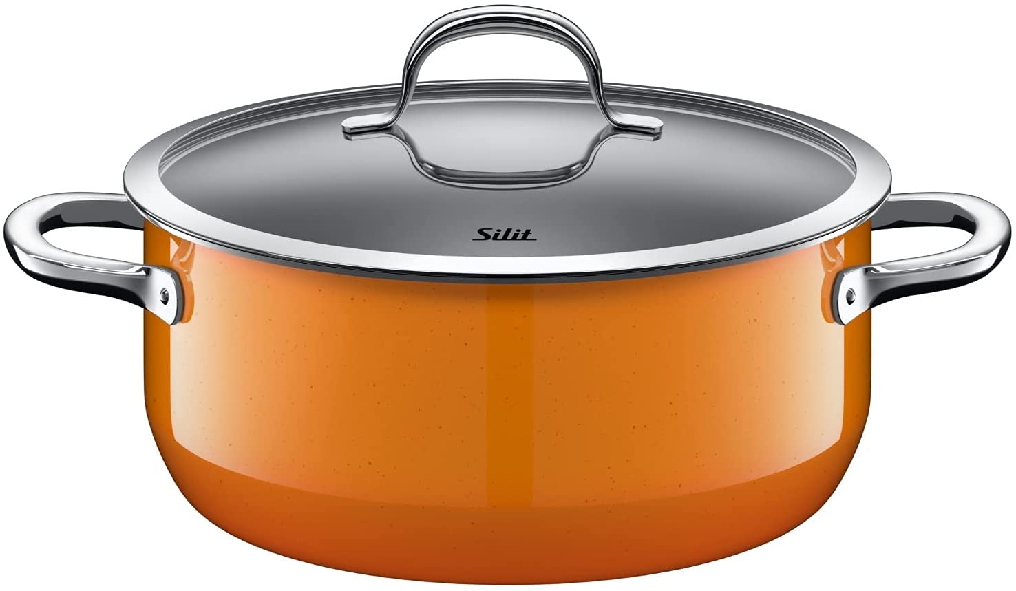 Silit Silargan 2101302452 Stewing Pot