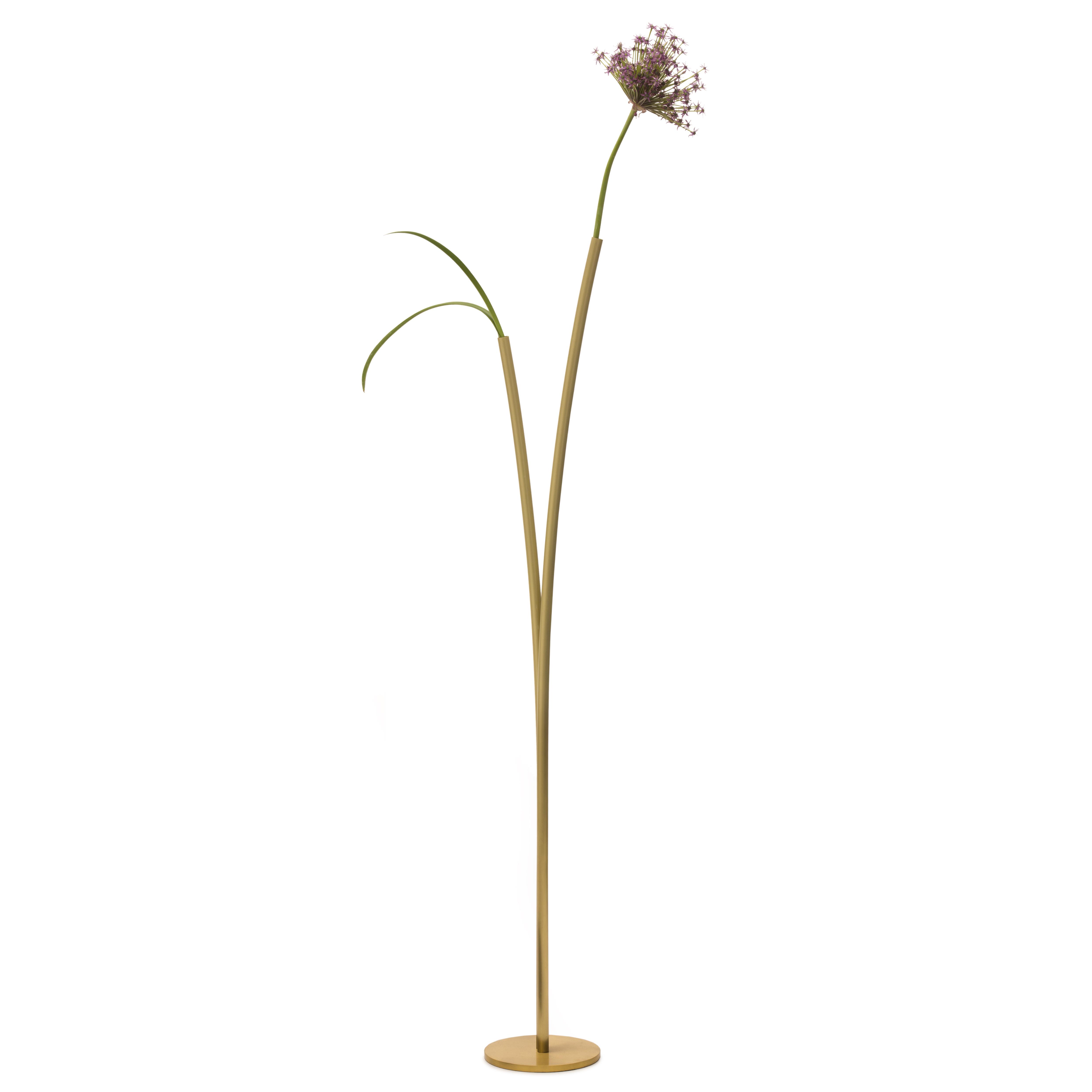 klong Skott Vase, Brass