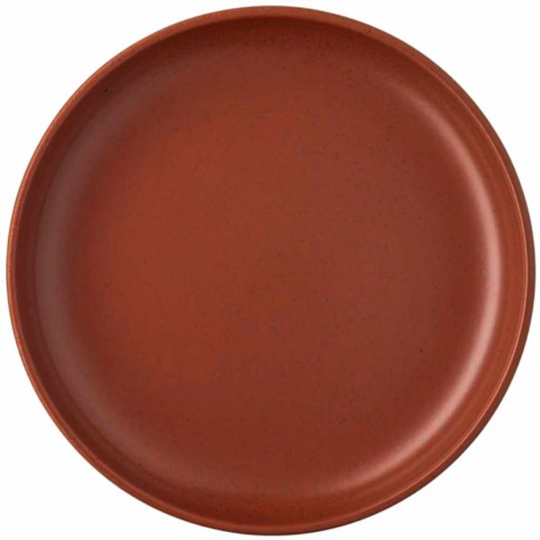 Joyn Spark dinner plate by Rosenthal