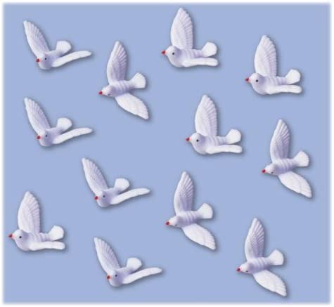 Staedter Städter Pigeons, White, Pack of 12)