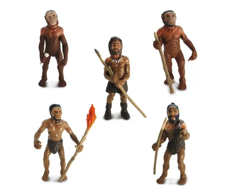 Stone Age Evolution