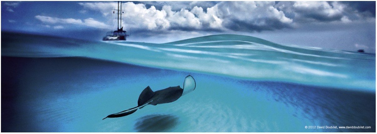 Heye Stingray Jigsaw Puzzle – 75 Pieces