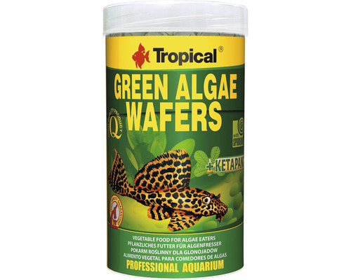 Tablets Tropical Green Algae Wafers 250 ml plant food for algae eaters