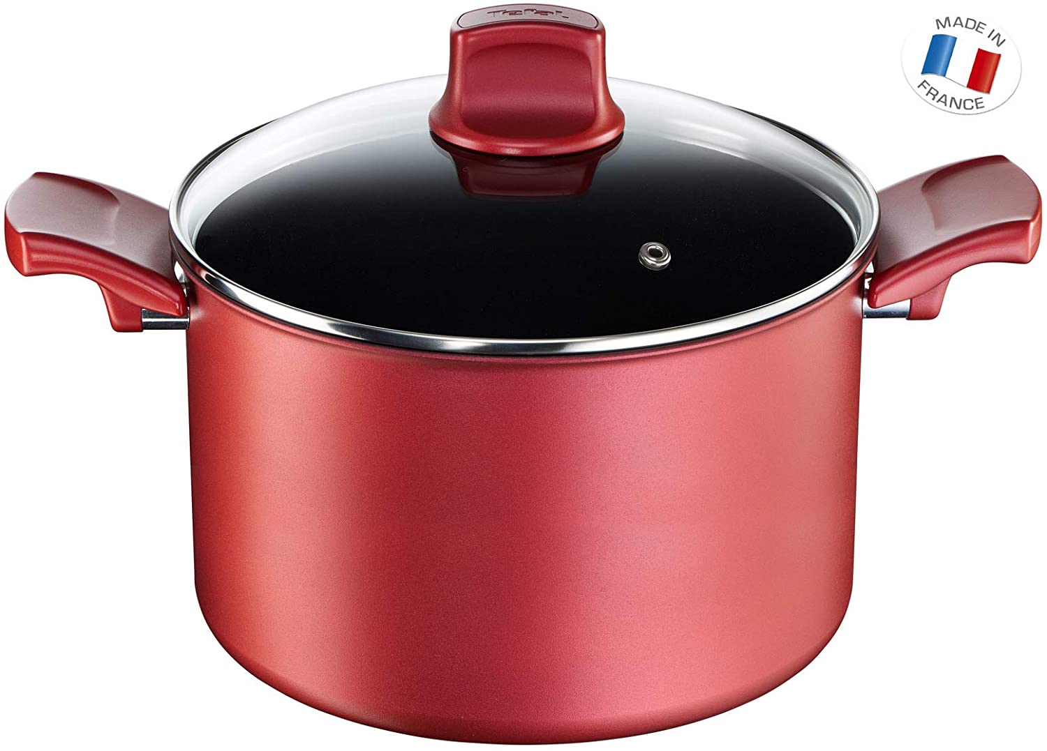 Tefal C6824602 GV5 Character Cooking Pot Titanium 37.2 x 26.5 x 15 cm Red