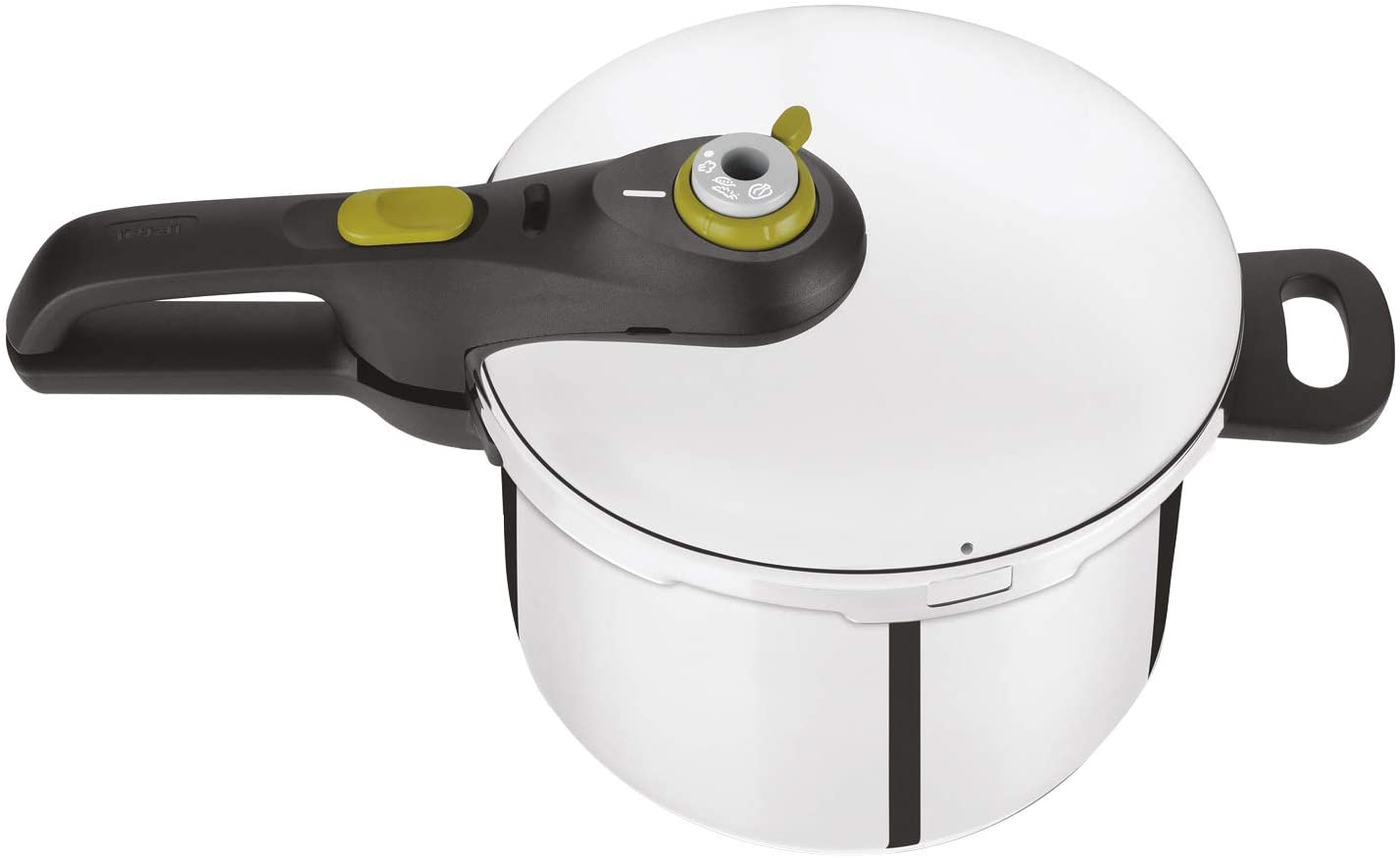 Tefal Secure 5 Neo P2530737 Pressure Cooker, Capacity: 6 l, 2-Level Cooking Regulator, High-Quality Stainless Steel, Silver/Green