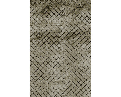 SoleVito Carpet Romance Stream mottled brown 190x300 cm