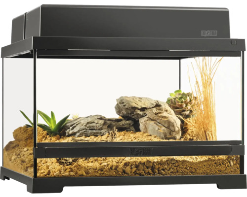 Exo Terra EX-Pro Terrarium™ Small Low 45 x 45 x 30 cm terrarium without decoration, substrate and equipment