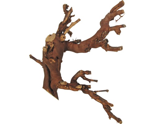 ORBIT Terrarium decoration vine wood dark medium 1 piece