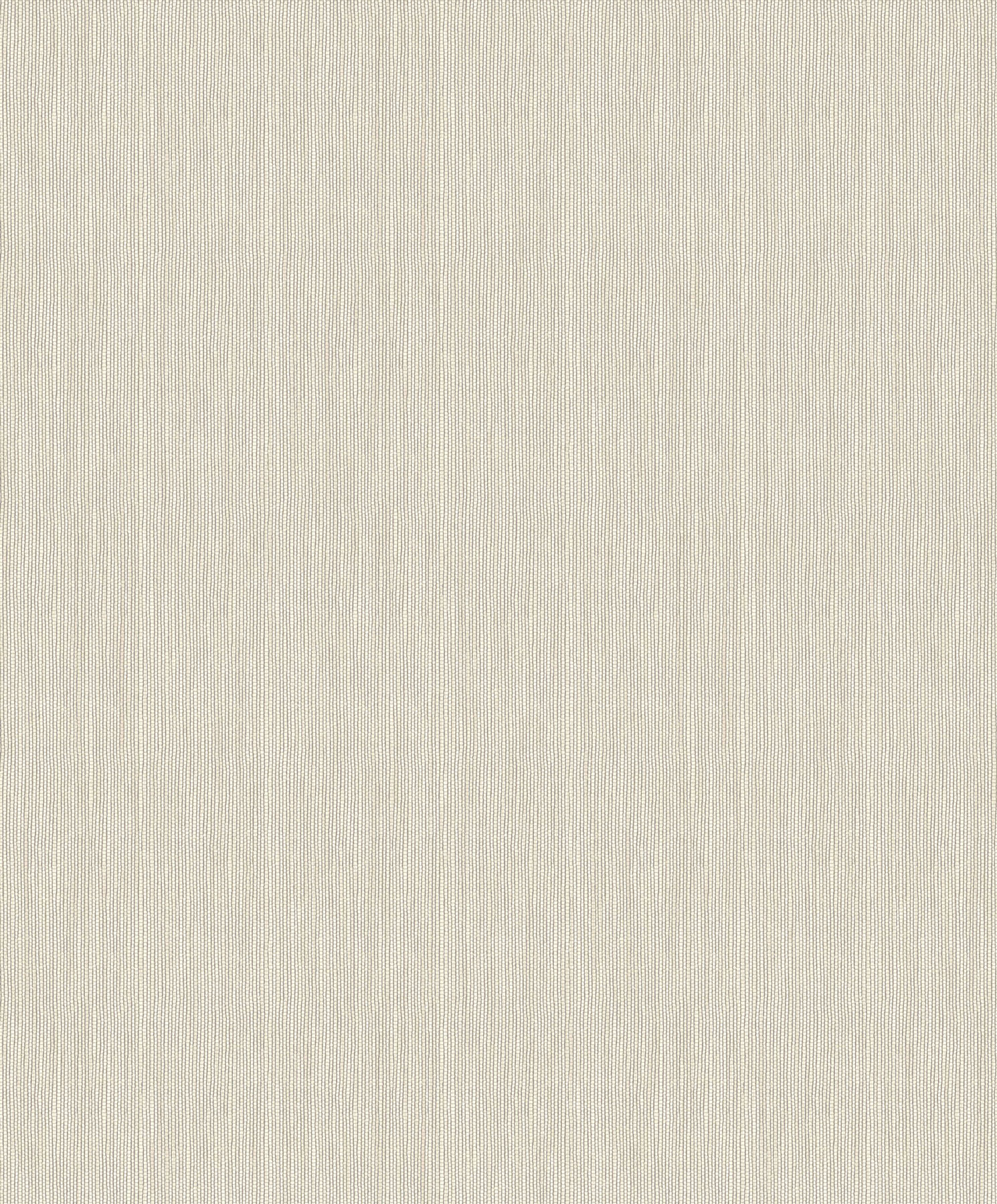 Thomas non-woven wallpaper Brazil light grey plain wallpaper BA26013