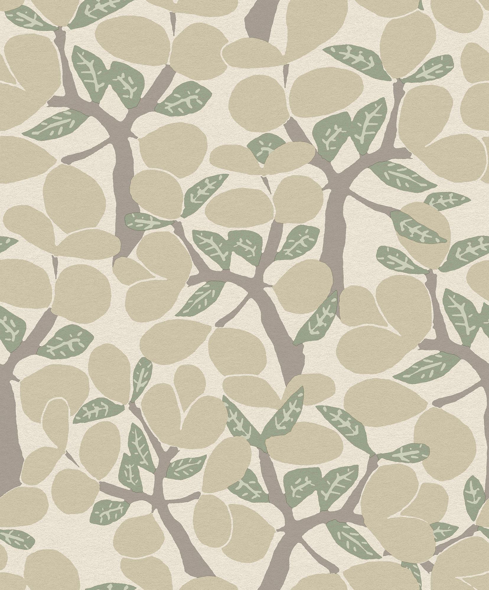 Thomas non-woven wallpaper Brazil White / cream Plants BA26050
