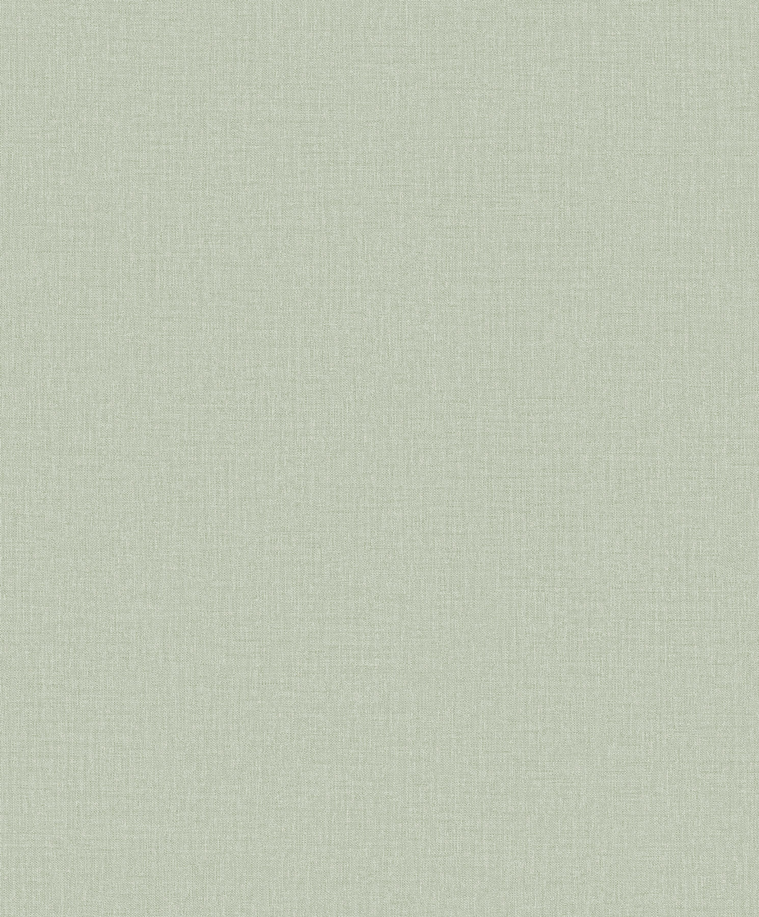 Thomas non-woven wallpaper Fine Weaves PW1211