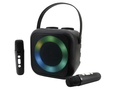 Portable Bluetooth Karaoke System