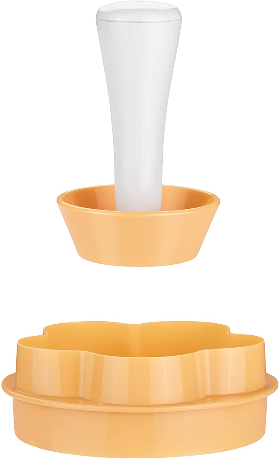 Tescoma Transformer for, Baked Fish – Rbchen Plastic