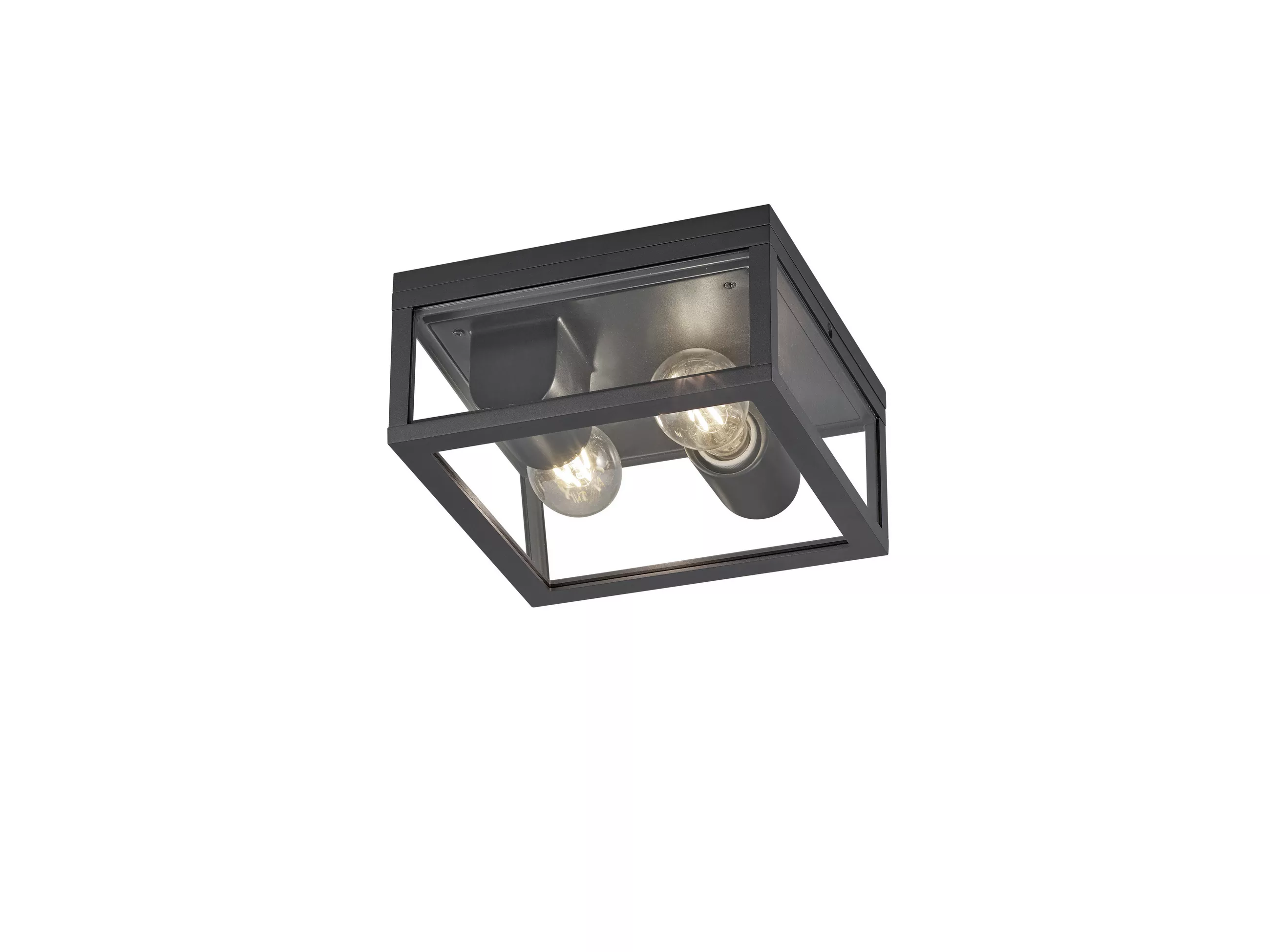 Trio Lighting Outdoor Ceiling Light Garonne 24/11/24 cm
