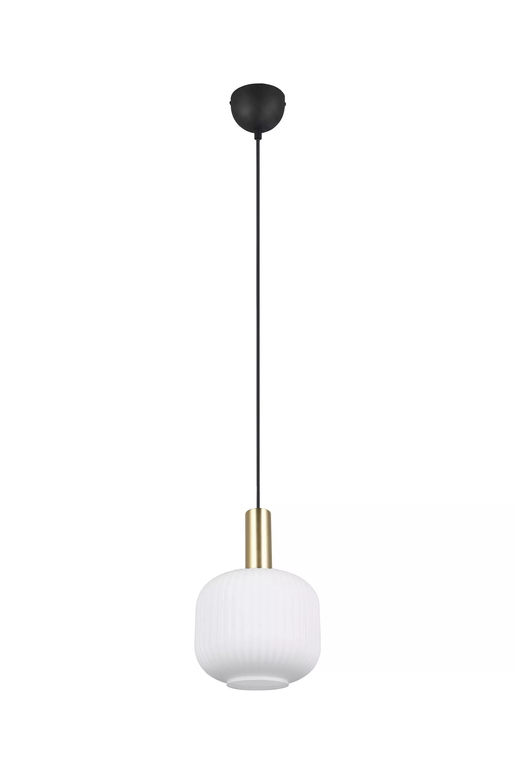 Trio Lights HANGING LAMP 20/150 cm