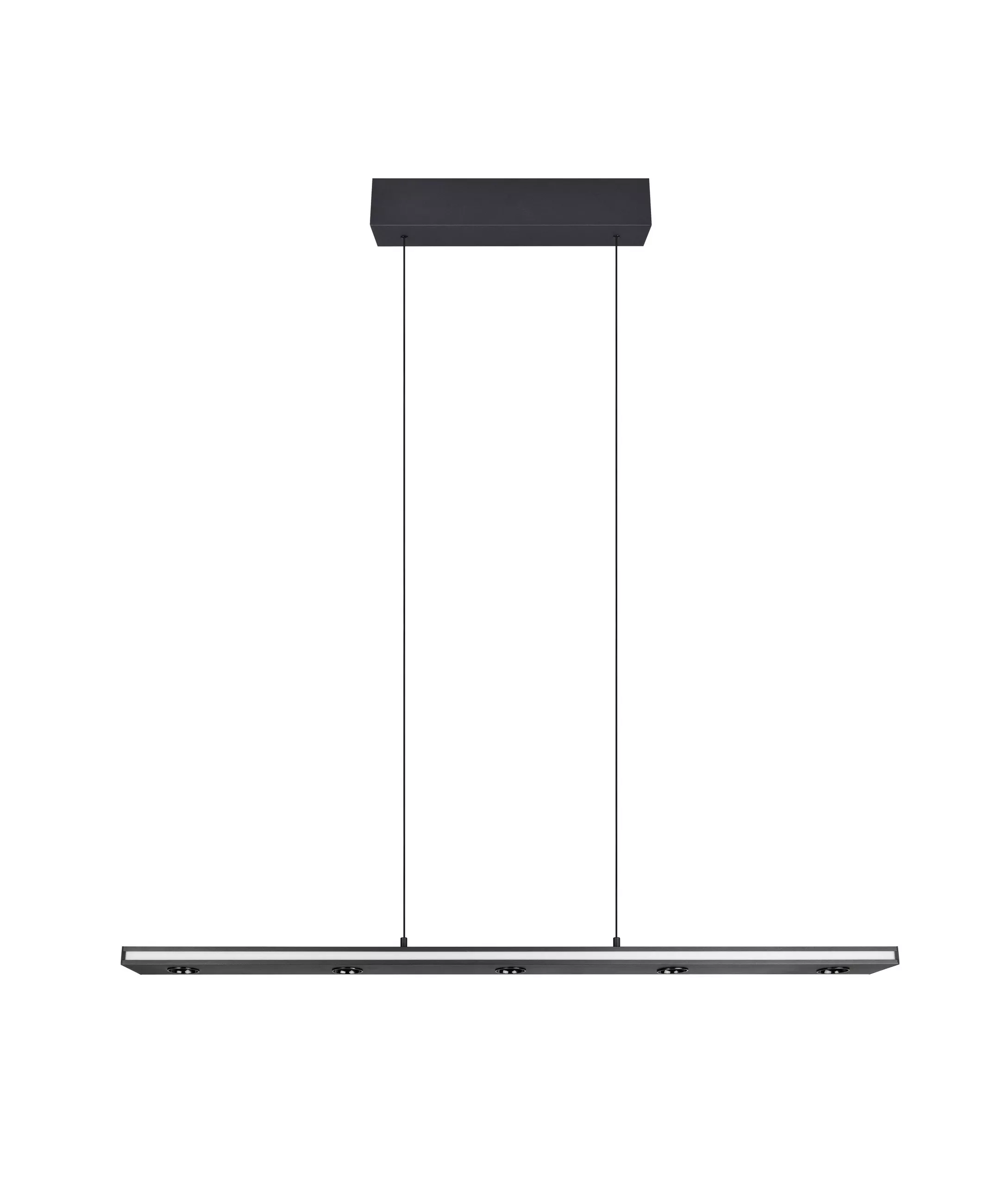 Trio Lighting LED Pendant Light 109/9/200 cm