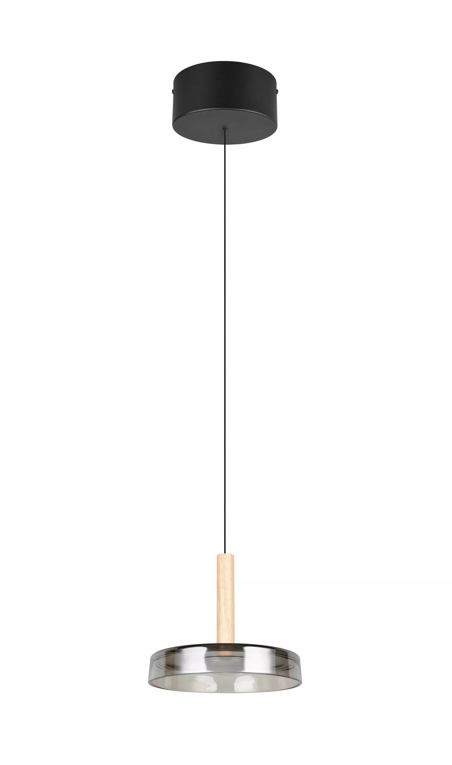 Trio Lighting LED Pendant Light Celeste 22/200 cm