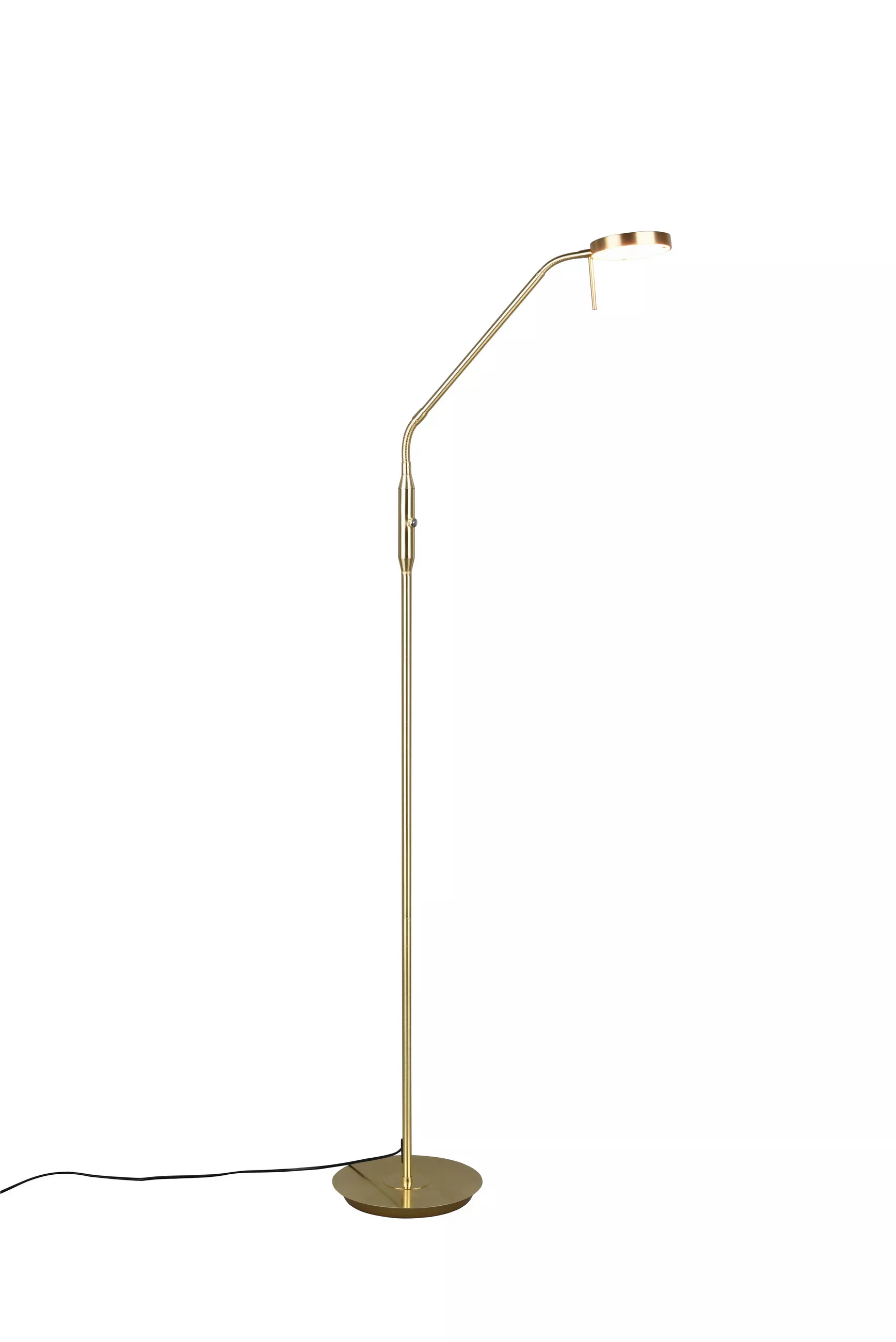 Trio Lighting LED Floor Lamp