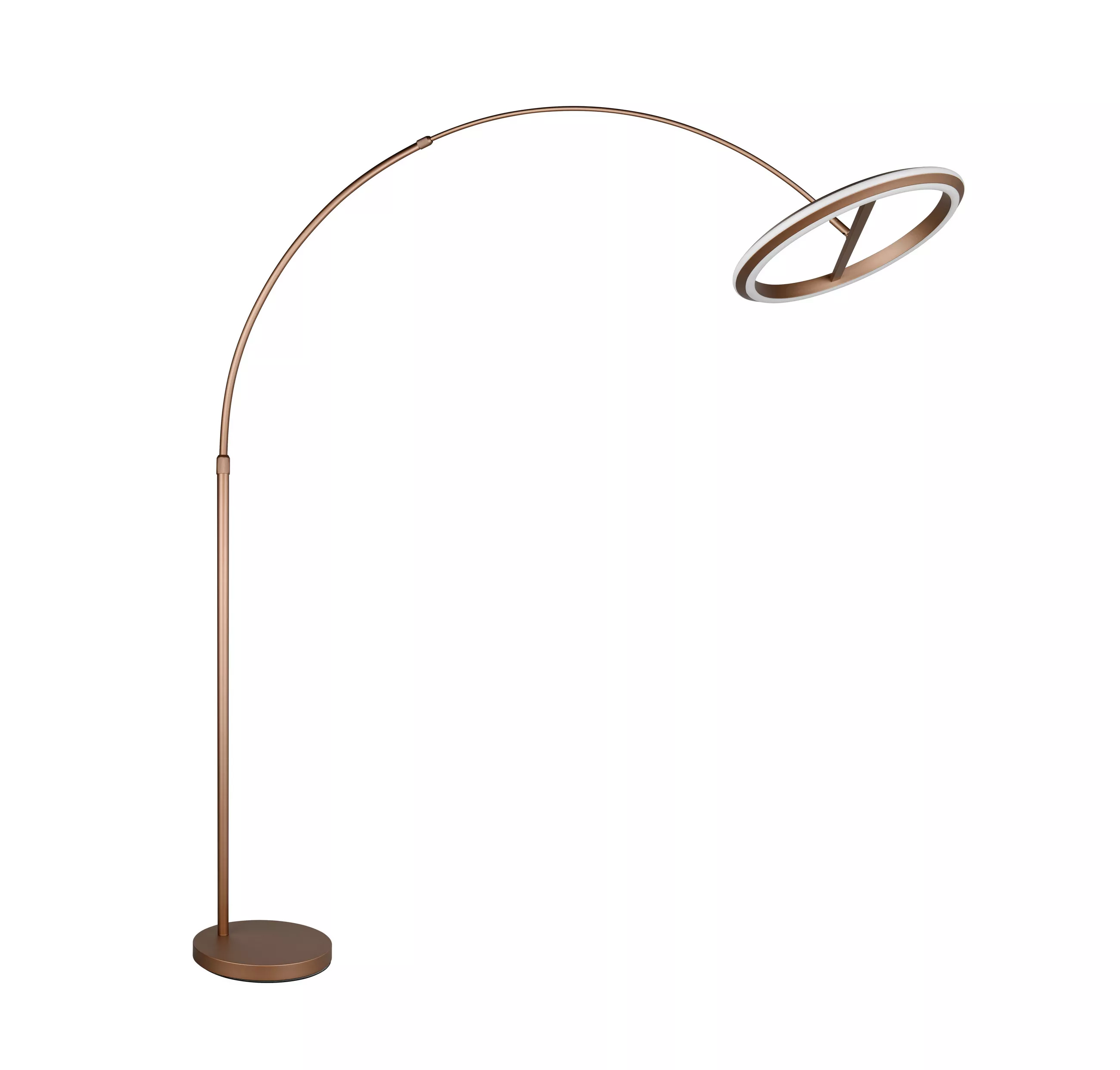Trio Lighting LED Floor Lamp Amador 45/205/165 cm