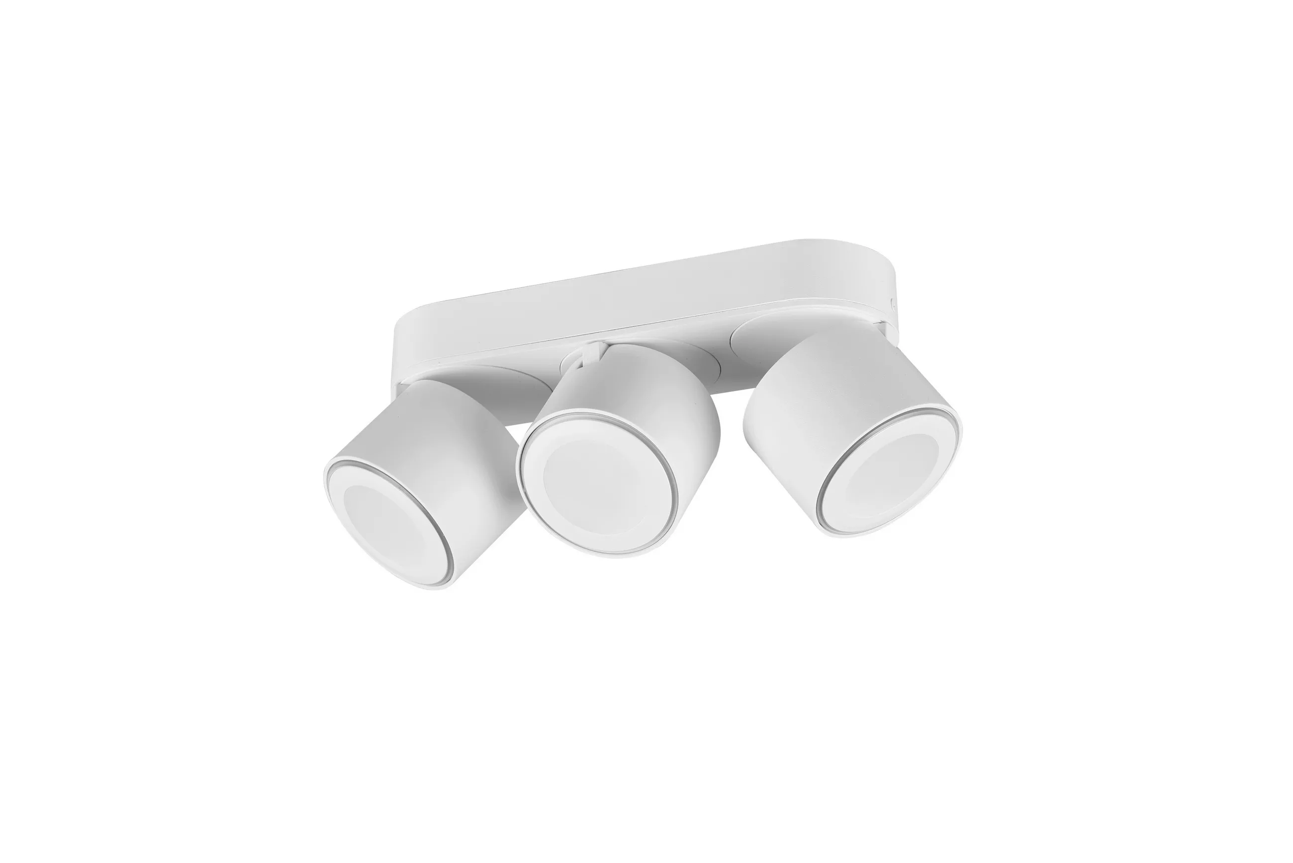 Trio Lighting LED Spotlight Taurus