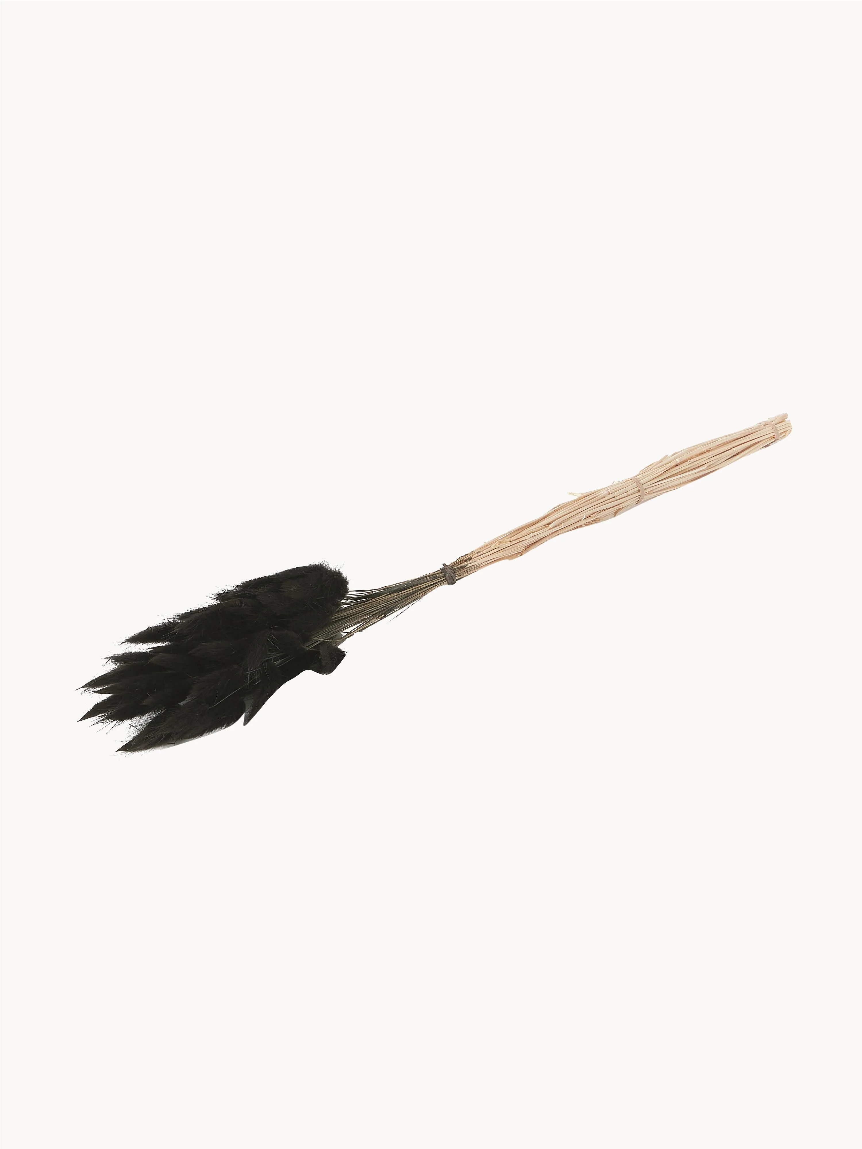 Cooee Design Dried flowers Lagurus, Anthracite, olive green