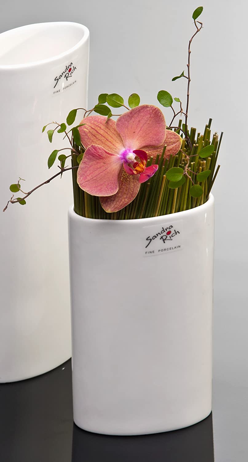 Sandra Rich Oval Porcelain Vase