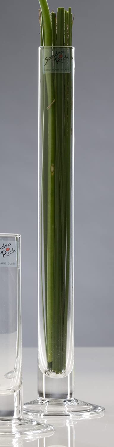 Sandra Rich Glass Vase Solifleur Clear Cylindrical 30 cm Diameter 3 cm Hot Cut
