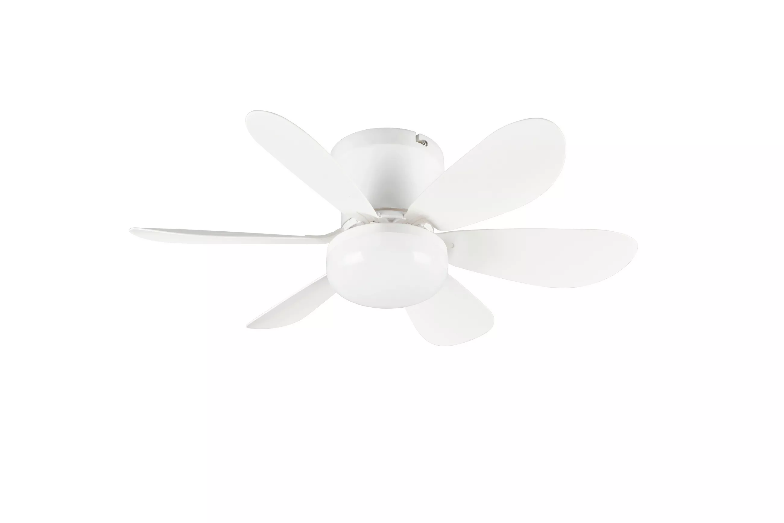 Fan with light 53.0/31.0 cm