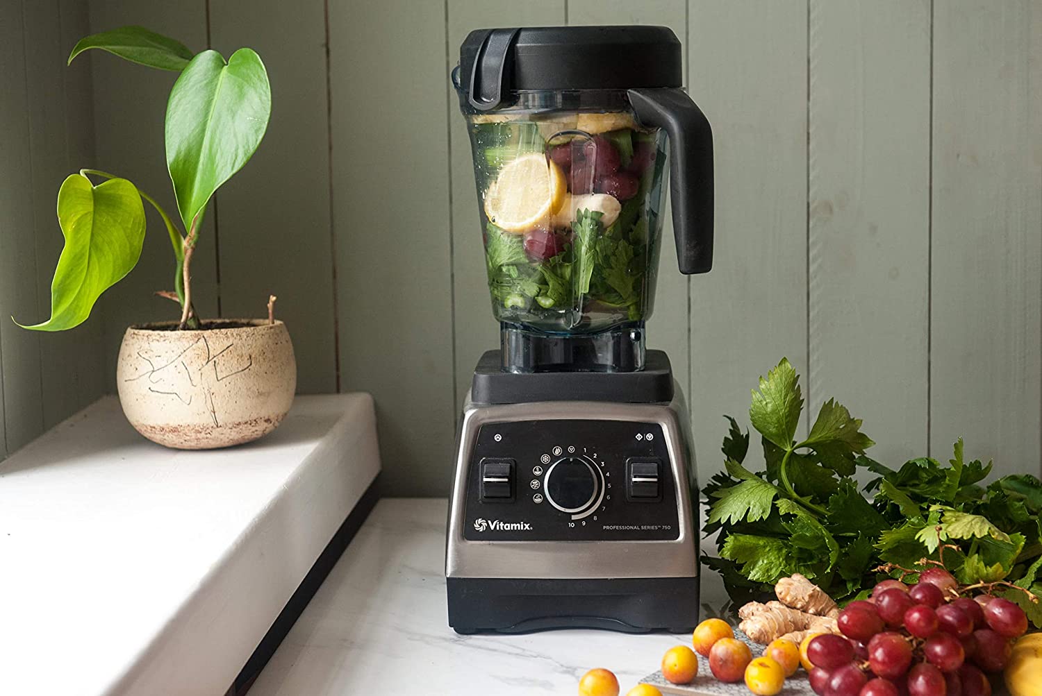 Vitamix 010338 Professional Series 750 Blender Stainless Steel Look