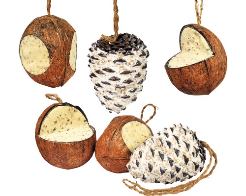Hornbach Bird food mix coconuts & giant cones 6 pieces