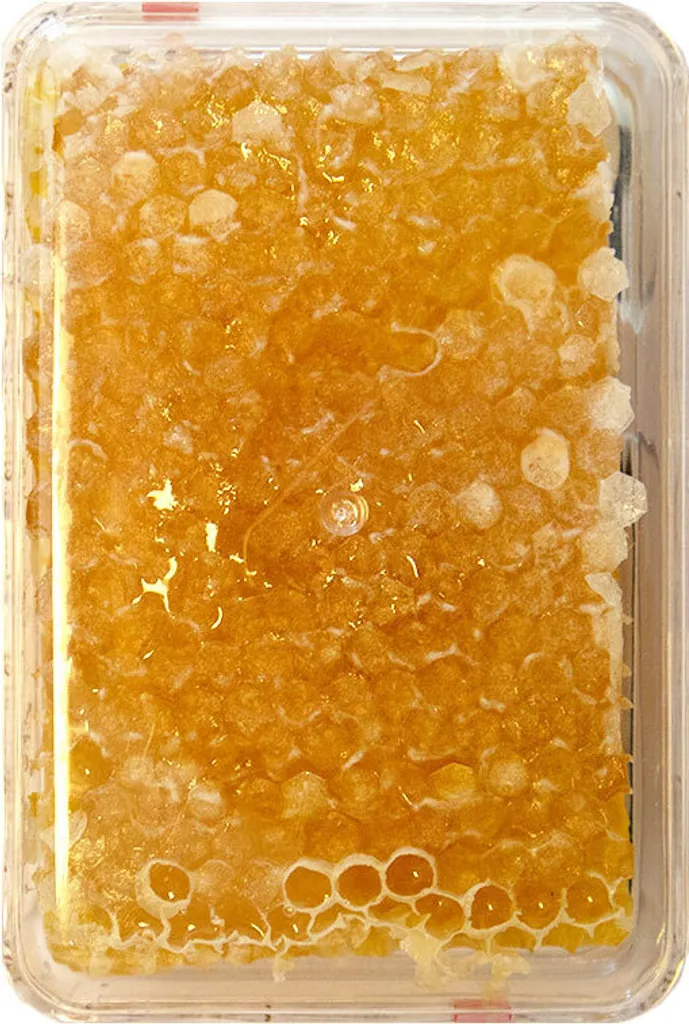 R. Feldt honeycomb honey from Hungary